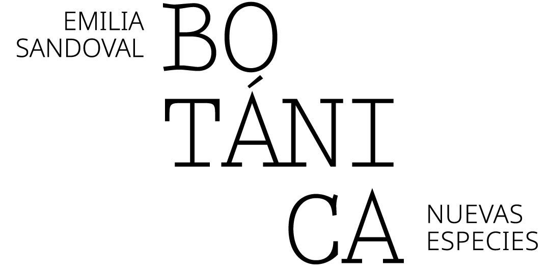 bota