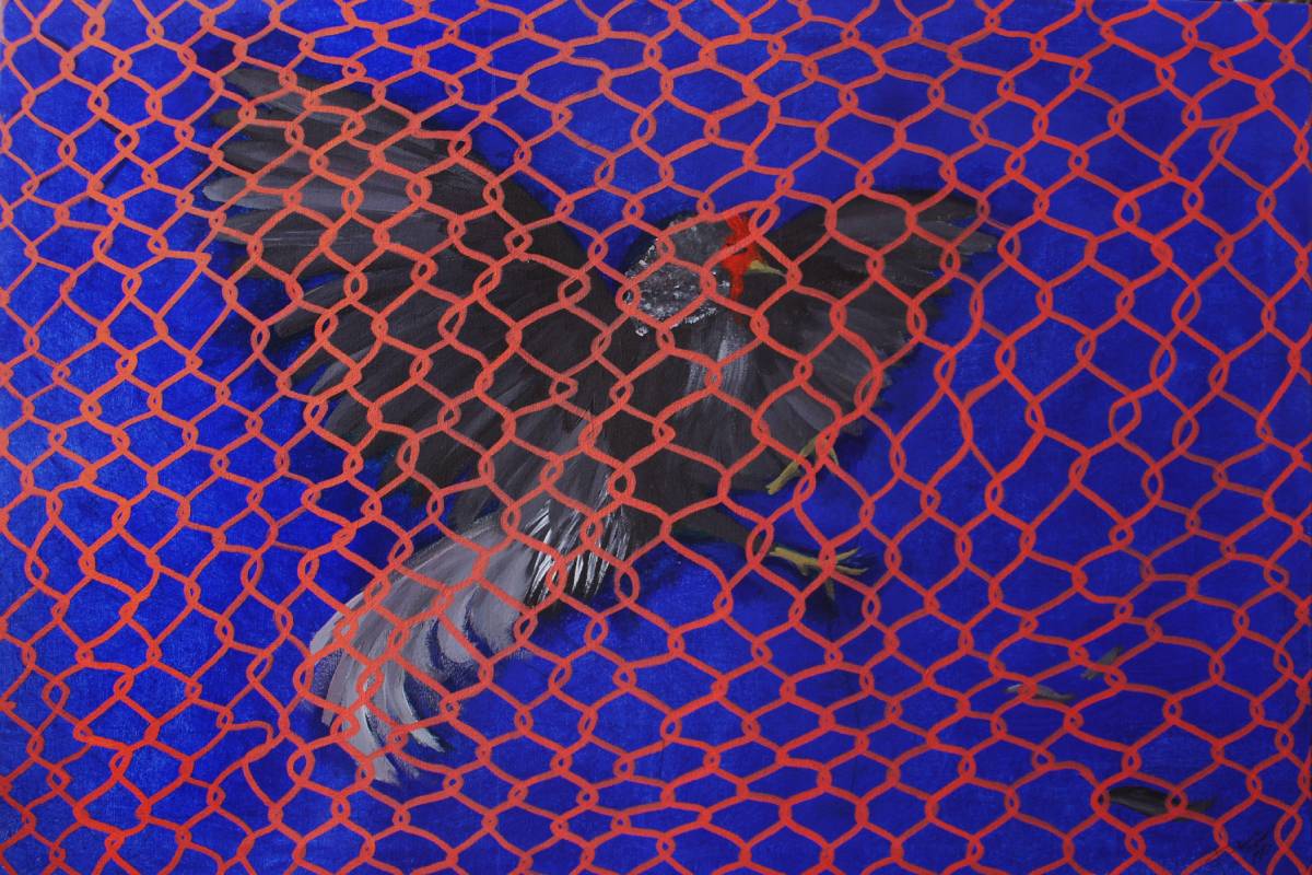 IMG 2