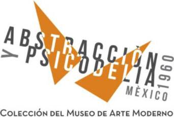 Coleccion del museo de arte moderno 