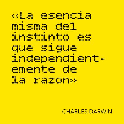384C7F82C-991A-946E-67B2-2389624325AE.jpg