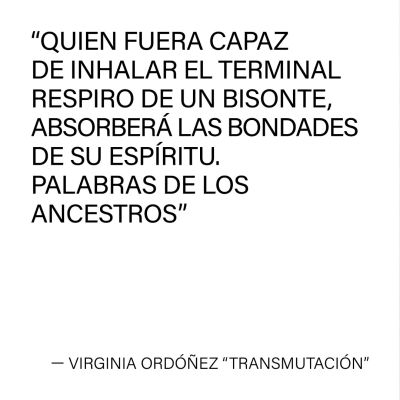 4F344F283-1AA7-343E-8A76-0FE4AE65D367.jpg