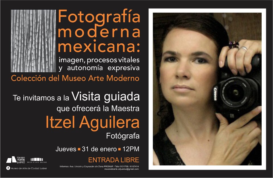 Coleccion del museo arte moderno 